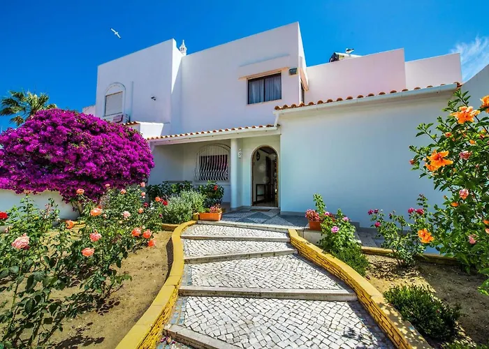 Verao Sol By 알부페이라